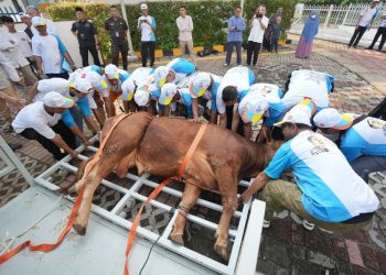 PGN Bagikan 382 Hewan Qurban di Sekitar Wilayah Operasionalnya di Momen Idul Adha 1445H