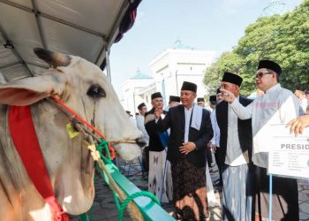 Jumlah hewan qurban di Jatim meningkat, PJ Gubernur sebut ekonomi membaik seiring peningkatan kesalehan sosial