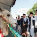 Jumlah hewan qurban di Jatim meningkat, PJ Gubernur sebut ekonomi membaik seiring peningkatan kesalehan sosial