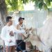 Sebanyak 4 sapi dan 5 kambing di sembelih PKB Jatim di Idul Adha tahun ini