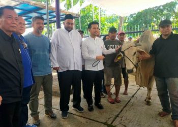 Lakukan penyembelihan di hari kedua Idul adha, Partai Demokrat sebar daging kurban merata ke masyarakat