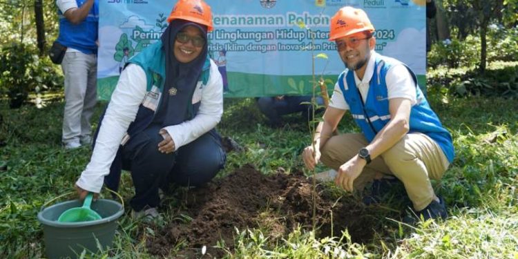 PLN Nusantara Power tanam 80 Ribu Pohon di DAS Brantas, dukung keberlangsungan Sumber Daya Air