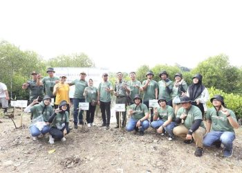 Dukung Dekarbonisasi, Pertamina Tanam 2 Ribu Mangrove di Bulan Lingkungan Hidup