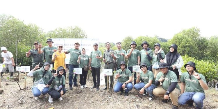 Dukung Dekarbonisasi, Pertamina Tanam 2 Ribu Mangrove di Bulan Lingkungan Hidup