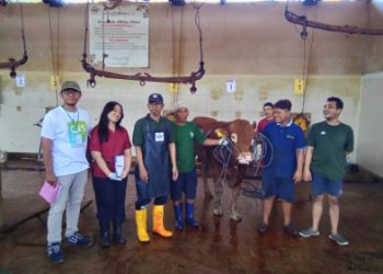 Potong 12 sapi, PDAM: Idul Adha moment peduli sesama