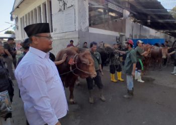Pemotongan hewan kurban di RPH Surabaya turun