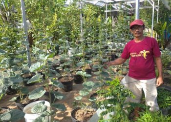 Lewat kebun mini, Rumah zakat berikan kegiatan untuk para Lansia yang masih ingin berkarya