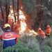 Kawasan Gunung Bromo terbakar, TRC BPBD Jatim Langsung turun ikut padamkan api