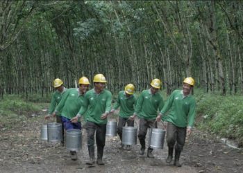 PTPN I Regional 7 Tegaskan Tidak Ada Kebijakan Pembagian Aset Tanah
