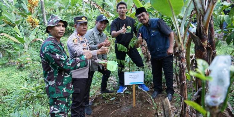 Peduli Lingkungan, PLN Tanam Ribuan Pohon di Banyuwangi dan Sumenep