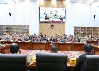 PLN Ajukan PMN Rp. 3 Triliun 2025 untuk Bangun Kelistrikan Daerah Terpencil