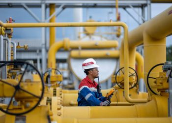 PGN dapatkan pasokan gas baru berbentuk LNG Tangguh