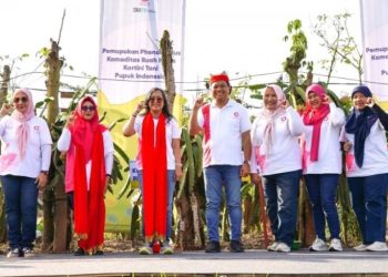 Pupuk Indonesia Perluas Program Kartini Tani di Banyuwangi untuk Dorong Pertanian Berkelanjutan dan Pemberdayaan Perempuan