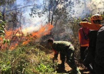 Musim kemarau, Komisi B DPRD Jatim minta pihak terkait antisipasi ancaman kebakaran hutan