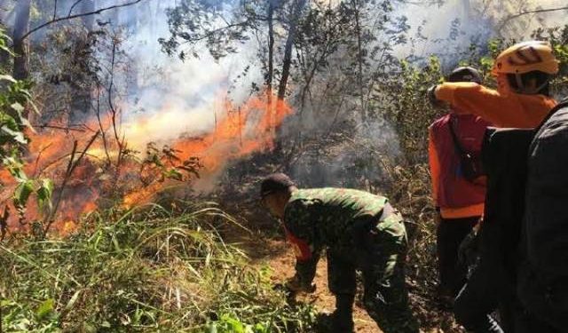 Musim kemarau, Komisi B DPRD Jatim minta pihak terkait antisipasi ancaman kebakaran hutan