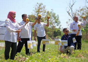 SBI Resmikan Dynamix Soccer School, Rumah Kreatif, dan Panen Blewah di Tuban