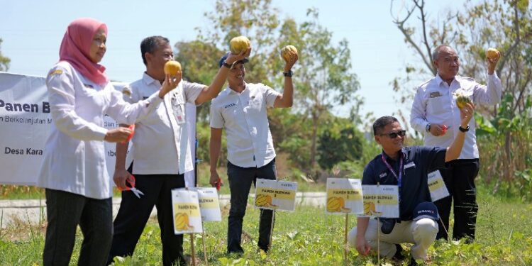 SBI Resmikan Dynamix Soccer School, Rumah Kreatif, dan Panen Blewah di Tuban