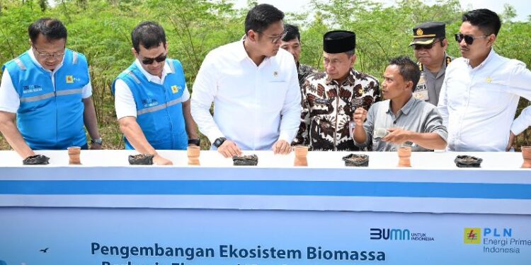 PLN dan Kementan Luncurkan Model Pertanian Terpadu, Dorong Pengembangan Biomassa untuk Energi Berkelanjutan
