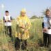 Panen bunga sedap malam milik petani milenial, Khofifah: petani Milenial Jatim tertinggi di Indonesia