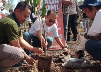 HCML Gandeng Masyarakat Tanam 10 Ribu Pohon untuk Kurangi Emisi Karbon