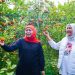 Bantu sejahterakan petani negeri sendiri, Khofifah ajak warga Jatim perbanyak konsumsi buah lokal 