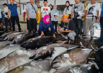Kagum hasil tangkapan ikan tuna sirip kuning di TPI sendang biru, Khofifah siap koneksikan dengan Industri
