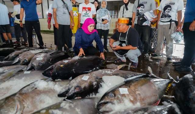 Kagum hasil tangkapan ikan tuna sirip kuning di TPI sendang biru, Khofifah siap koneksikan dengan Industri