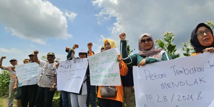 PP 28/2024 Dikecam: Masa Depan Kretek di Ujung Tanduk