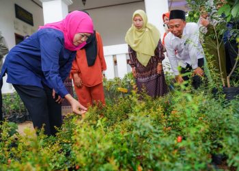 Sambangi usaha bibit tanaman buah di Nganjuk, Khofifah: Bisa jadi percontohan pengembangan kreativitas agrobisnis