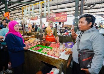 Dimeriahkan Beragam Penampilan Seni Budaya Jatim, Khofifah Ajak Masyarakat Ikuti Kampanye Akbarnya di Jember Minggu Besok