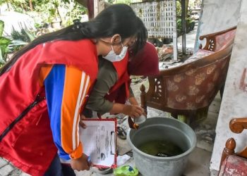 Waspada DBD, Pemkot Surabaya imbau warga aktif PSN 3M Plus