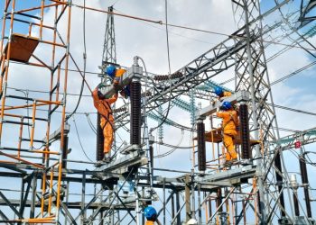PLN Amankan Sistem Kelistrikan Jelang Pilkada dengan Pasang Penangkal Sarang Burung di Peralatan Listrik