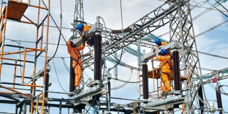 PLN Amankan Sistem Kelistrikan Jelang Pilkada dengan Pasang Penangkal Sarang Burung di Peralatan Listrik