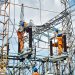 PLN Amankan Sistem Kelistrikan Jelang Pilkada dengan Pasang Penangkal Sarang Burung di Peralatan Listrik