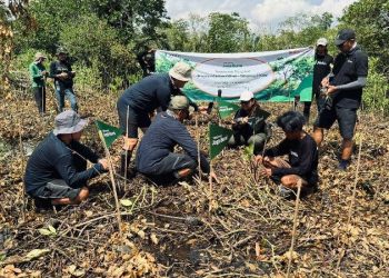 Telkomsel Perkuat Komitmen ESG dengan Tanam 10.600 Mangrove Hasil Donasi Poin Pelanggan untuk Kurangi Emisi Karbon
