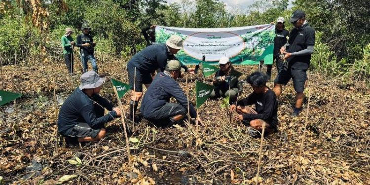 Telkomsel Perkuat Komitmen ESG dengan Tanam 10.600 Mangrove Hasil Donasi Poin Pelanggan untuk Kurangi Emisi Karbon