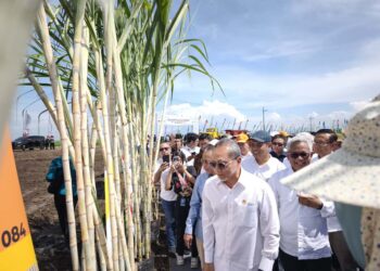 PTPN Group dan SGN Luncurkan Program Menuju Swasembada Gula Nasional 2028