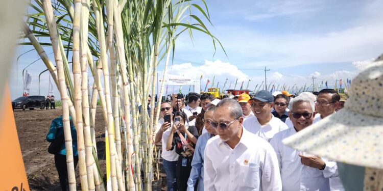 PTPN Group dan SGN Luncurkan Program Menuju Swasembada Gula Nasional 2028