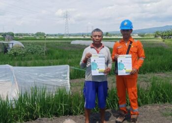 PLN UIT JBM Perkuat Pengawasan Jaringan Transmisi untuk Pastikan Keandalan Listrik Jelang Nataru