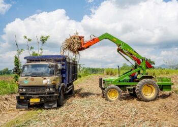 SGN Produksi 847 Ribu Ton Gula Kristal Putih di Tahun Giling 2024