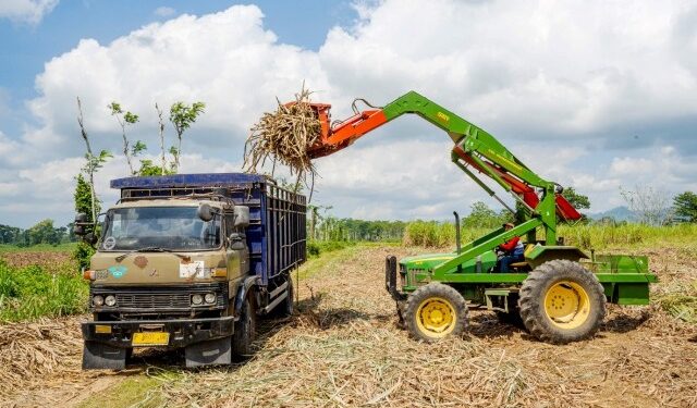 SGN Produksi 847 Ribu Ton Gula Kristal Putih di Tahun Giling 2024