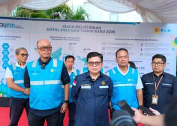 Pastikan Pasokan Listrik Andal Jelang Nataru 2025, Dirjen Ketenagalistrikan Apresiasi PLN Nusantara Power UP Kaltim Teluk
