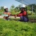 SIG Dorong Keberlanjutan dengan Eco-Inovasi dan Inovasi Sosial untuk Masa Depan Hijau