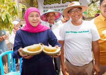 Siap gencarkan penanaman Durian Premium di Jatim, Khofifah: Peluang ekspor Black Thorn dan Musang King ke Tiongkok terbuka lebar