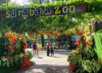 Sejak 2010 tarif tak naik, DPRD wacanakan penyesuaian tiket masuk KBS