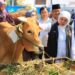 PMK di Jawa Timur tertangani dengan baik, Khofifah optimis stok hewan ternak aman jelang Ramadhan