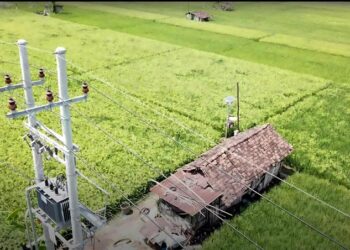 Dukung Modernisasi Pertanian, Program Electrifying Agriculture PLN Tambah 53.539 Pelanggan Baru di 2024