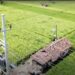 Dukung Modernisasi Pertanian, Program Electrifying Agriculture PLN Tambah 53.539 Pelanggan Baru di 2024