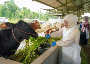 Tinjau proses vaksinasi ternak di Pasuruan, Khofifah pesankan pentingnya proteksi pasar hewan di tengah wabah PMK