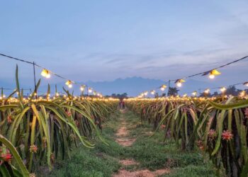 PLN Jatim Catat Penjualan Listrik 2024 Capai 44,3 TWh, Tumbuh 6% Dibanding 2023